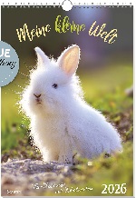 Meine kleine Welt